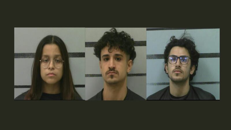 Katherine Carrillo, Muhannad Abdel-Raouf, Almazen Abdel-Raouf